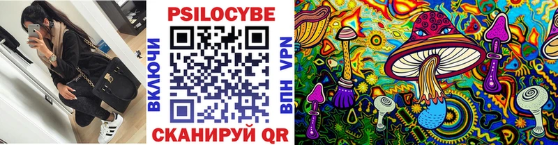 мориарти официальный сайт  Ярцево  Галлюциногенные грибы Magic Shrooms 
